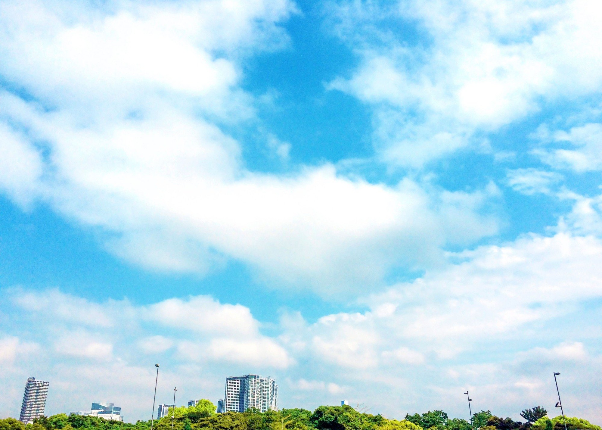 青空の写真