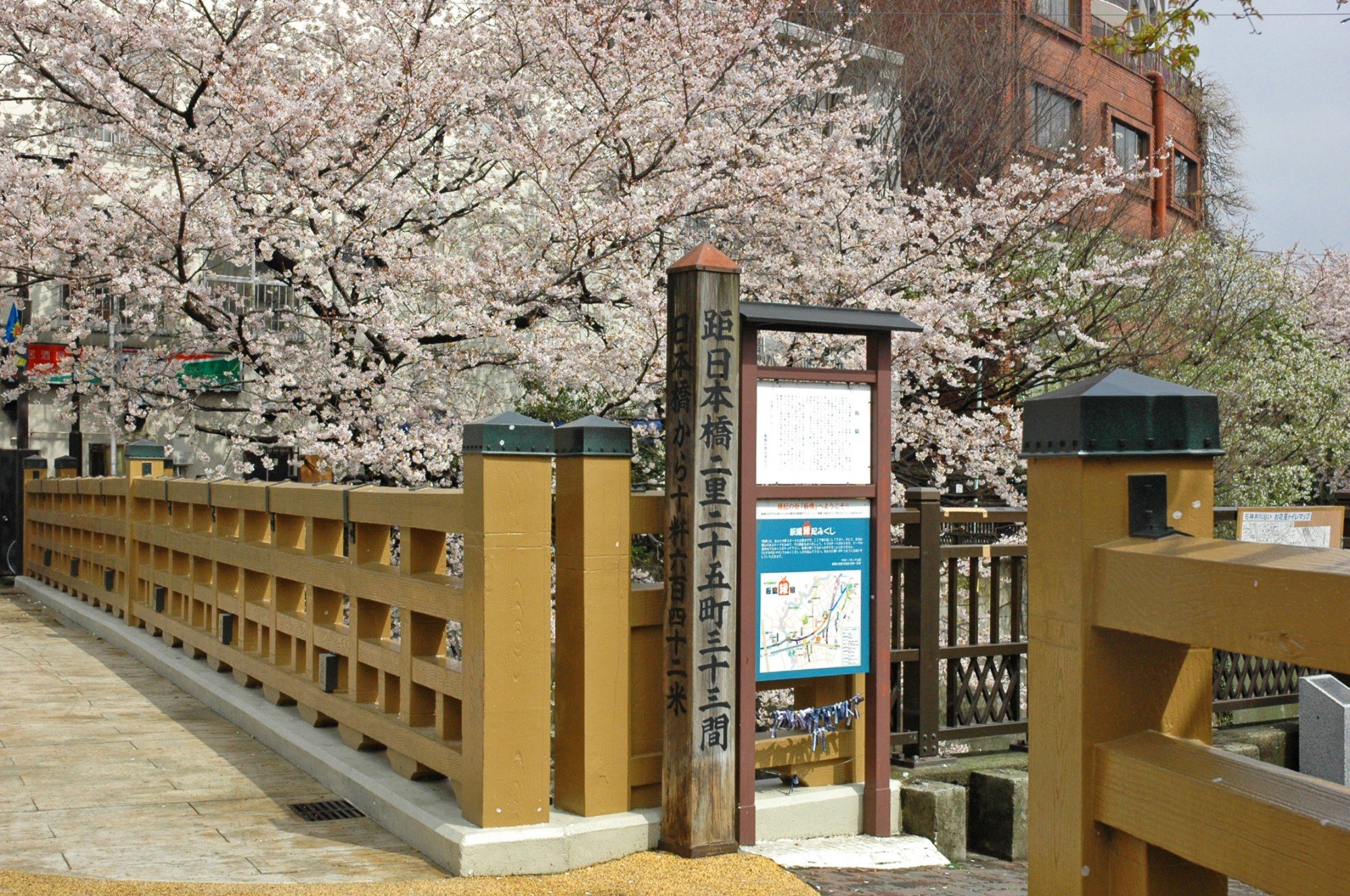 板橋と桜の写真
